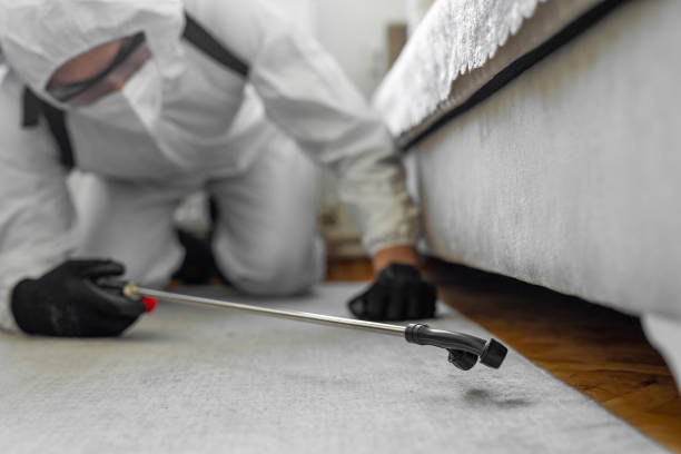Professional Bed Bug Control technician working in Brownsville, PA