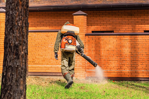 Trusted Termite Control service in Brownsville, PA - Nex Pest Control